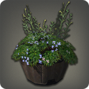 低矮花盆