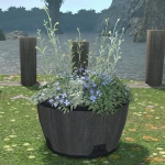 低矮花盆
